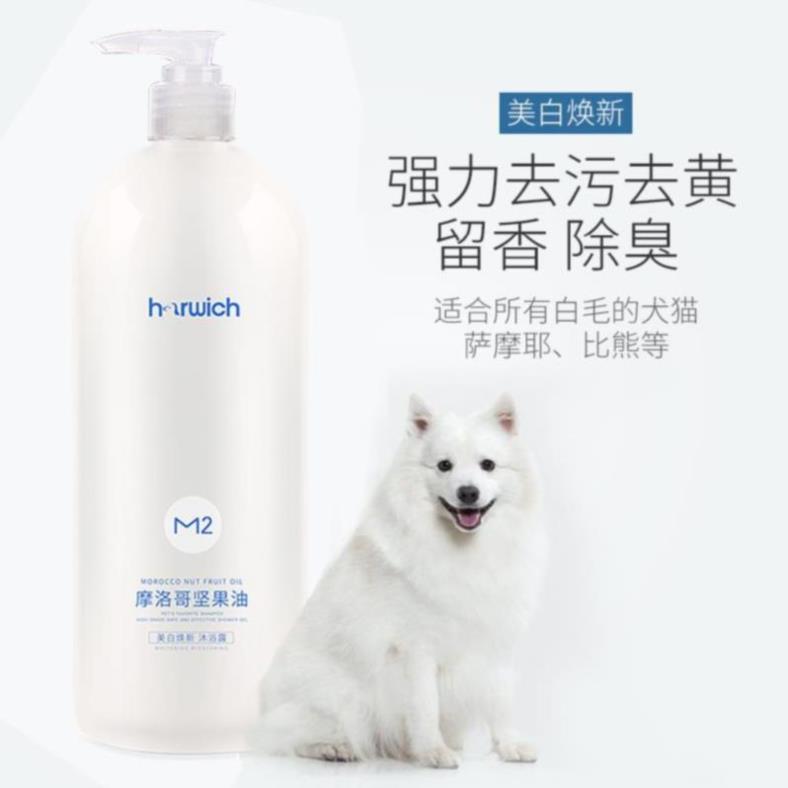 Pet dog bathing in Lubby bear shower and shampoo deodorizing scent enduring dog cat with antibacterial deodorization deodorizing itchy Teddy