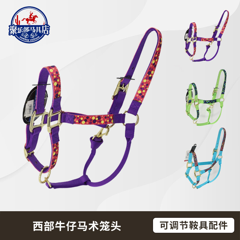 American Import Western Cowboy Equestrian Cage Head Adjustable Saddle Accessories Horses Equipped Polylogy Horse Furniture Shop