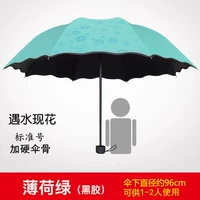 В случае цветущей воды Зеленый Мятный Зеленый