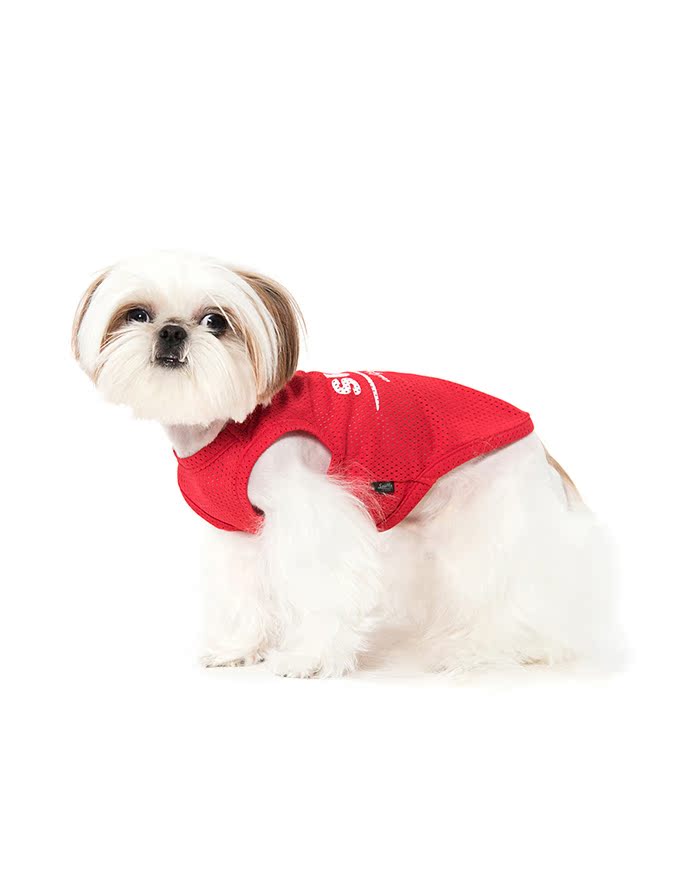 Áo vest lưới hè xuân hè 2019 với hai màu sắc tùy chọn quần áo chó thời trang đường phố Quần áo thú cưng Hàn Quốc | Sniff - Quần áo & phụ kiện thú cưng 	áo dành cho chó mèo