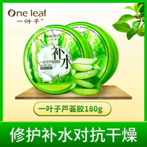 One Leaf Aloe Vera Gel 180g * 2 boxes repair gel Women Moisturizing Light Pimple Acne Print Free Face Cream Face Cream
