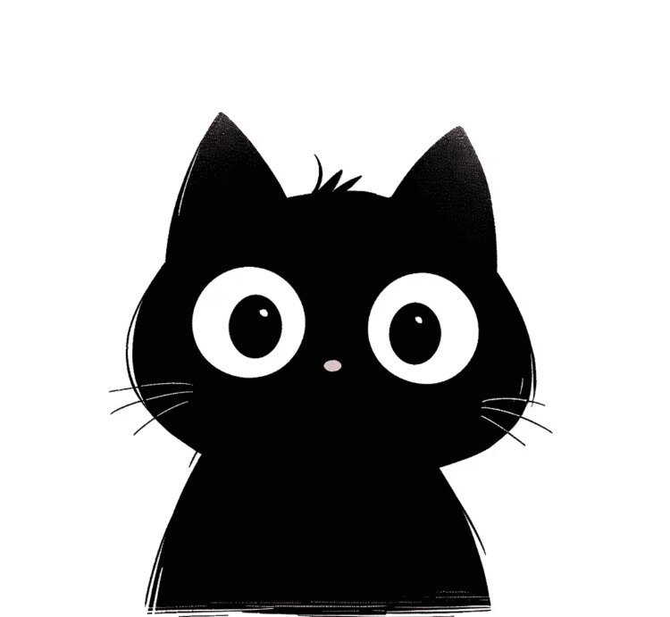 阿拉猫定制