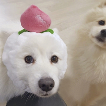 ins peach face wash hairband cute girl heart peach headband makeup mask hairband korean hair accessories