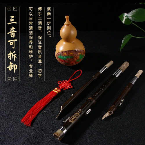 Натуральный фиолетовый бамбук против опадающего тыкв