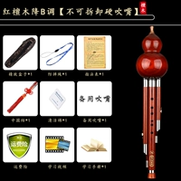 Обычный жесткий рот Полный красный сандаловый капля B Тон [Полный набор подарков]