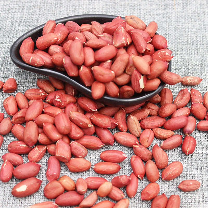 Manquan river red peanut peanut dry peanut grains peanut kernel farmers from 5 jin