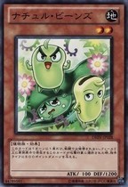 Yu-Gi-Oh DREV-JP028 Natural Bean Family N
