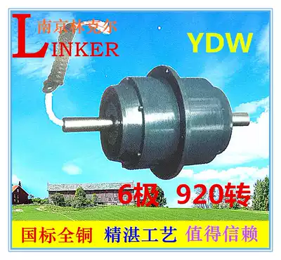 Nanjing Linkerydw6 pole external rotor low noise ventilator asynchronous motor high frequency kilowatts high voltage