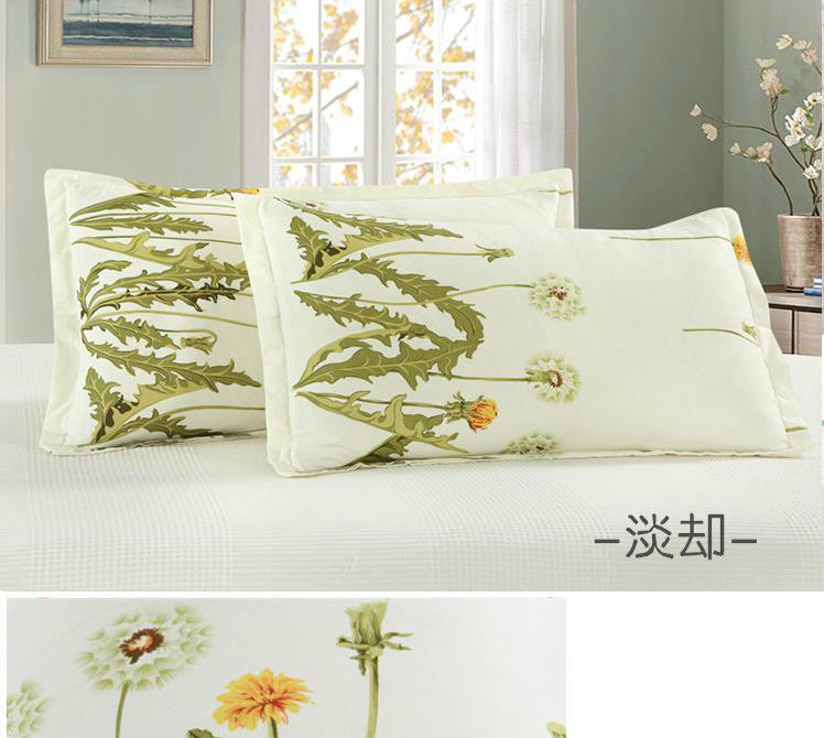 Gối gối để gửi gối một cặp 2 ký túc xá sinh viên nhà đơn gối cổ gối lông nhung gối gối cao su non babymoov