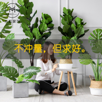 Nordic big leaf green plant Piano leaf Banyan large potted simulation turtle back leaf bamboo Indoor floor-to-ceiling bionic plant window decoration