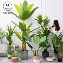 Large floor-to-ceiling simulation plant Indoor potted bird of paradise tortoise humberto fake bionic green plant living room tortoise leaf bonsai