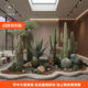 Simulated sand plant landscaping desert style indoor landscape