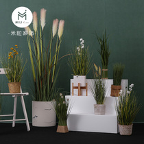 Small and medium-sized simulation fake flower pot plant bonsai ornaments decorative onion grass dog tail grass Reed grass plant fake grass potted plants