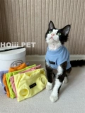 Hoiii Pet летний мульти -колор жилет Huafer, немецкая одежда, безволочная одежда для кошачьей воздуходушки и хлопок
