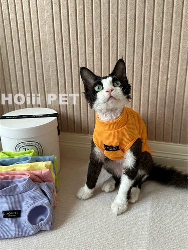 Hoiii Pet летний мульти -колор жилет Huafer, немецкая одежда, безволочная одежда для кошачьей воздуходушки и хлопок