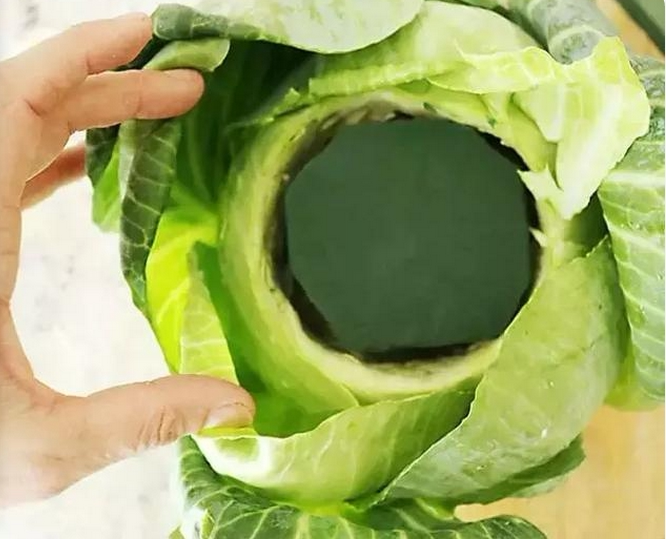 用1塊錢白菜來插花 鄰居們都搶着要學 淘寶海外