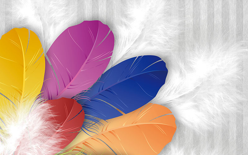 现代简约彩色羽毛