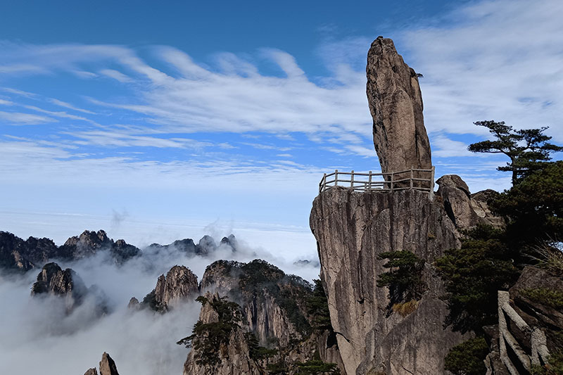 外网下载图案自然