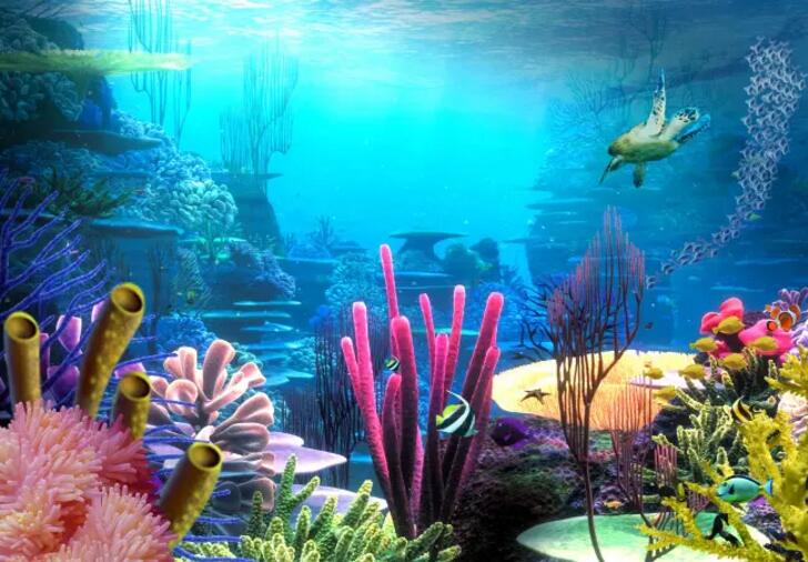 海底世界电视背景