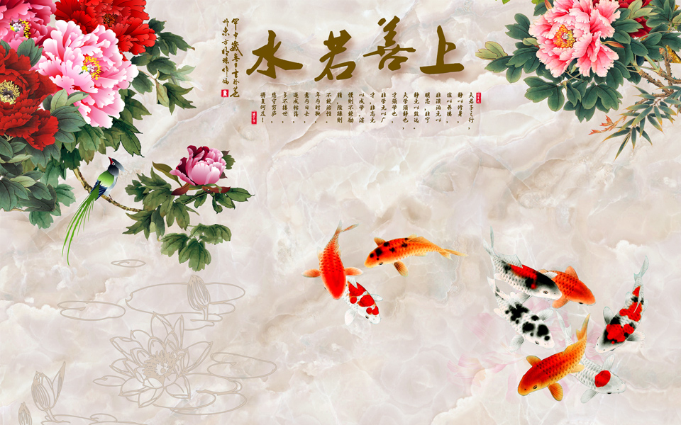 上善若水工笔牡丹
