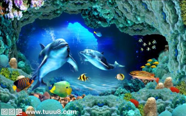 海底世界海洋动物