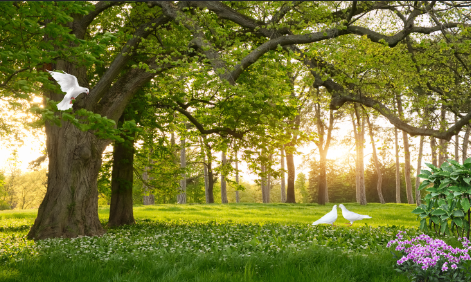 现代简约自然风景