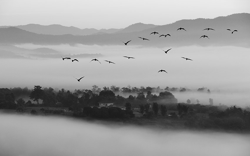 中式云雾人家风景