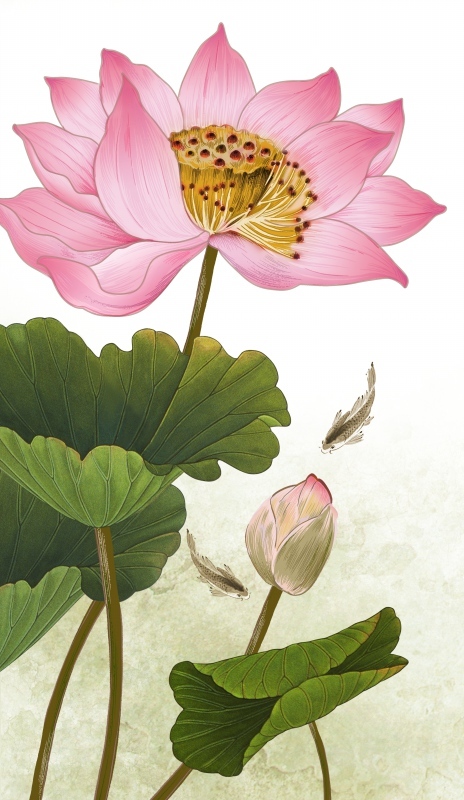 荷花九鱼图玄关莲
