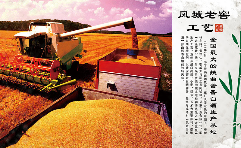 背景墙凤城老窖烧