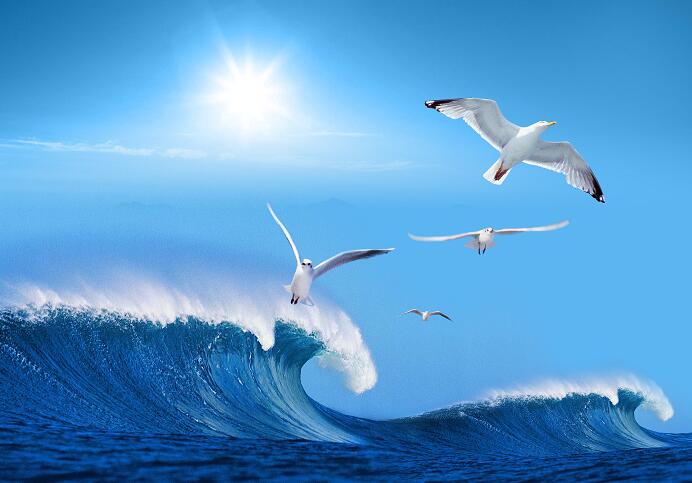 3D海边太阳海鸥