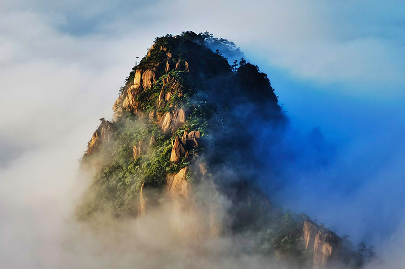 外网下载图案自然