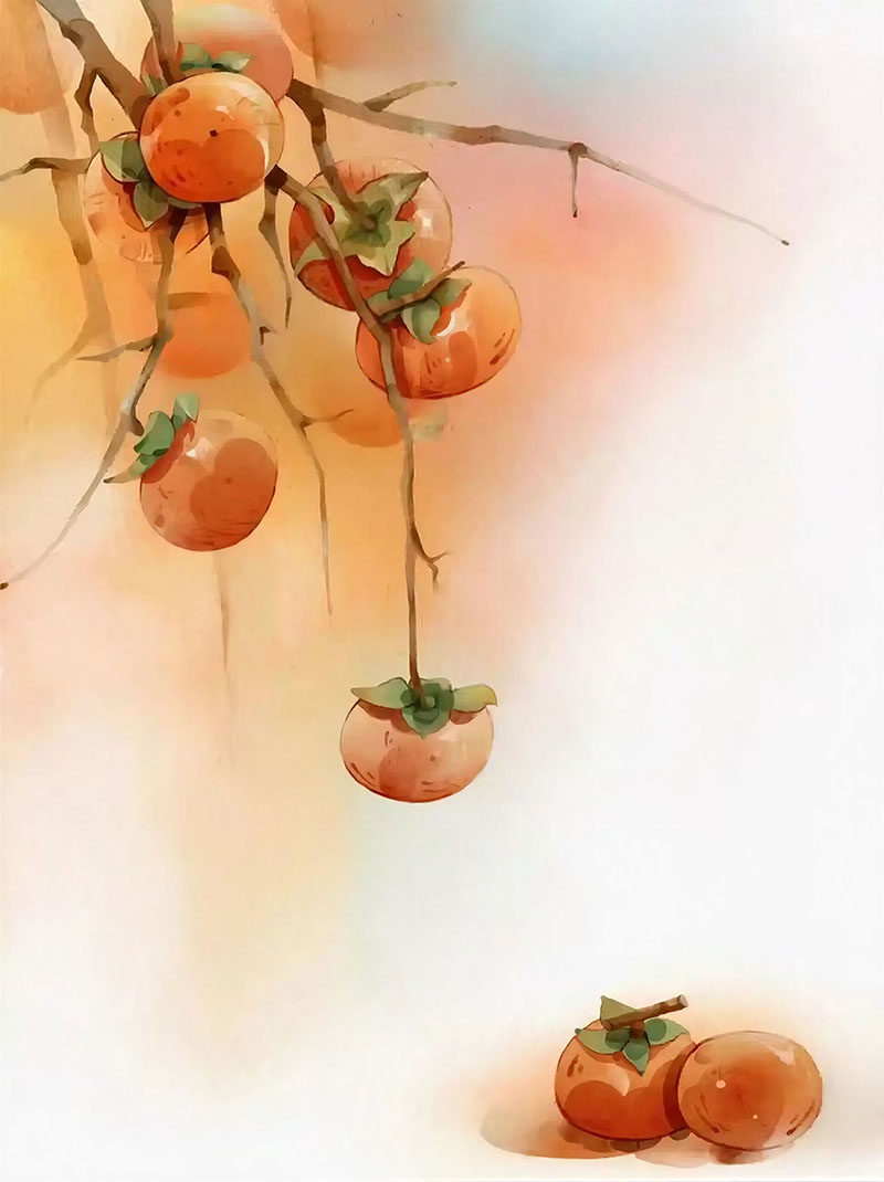 外网下载柿子玄关