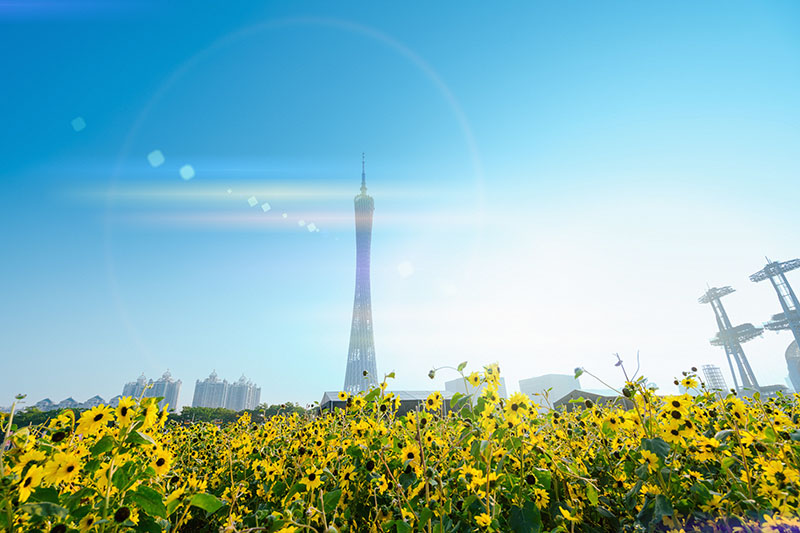 外网下载图案背景