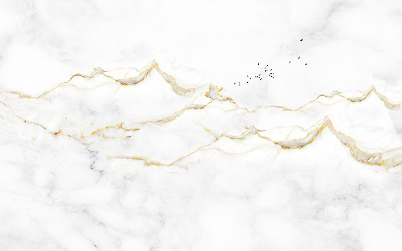 背景墙现代简约金