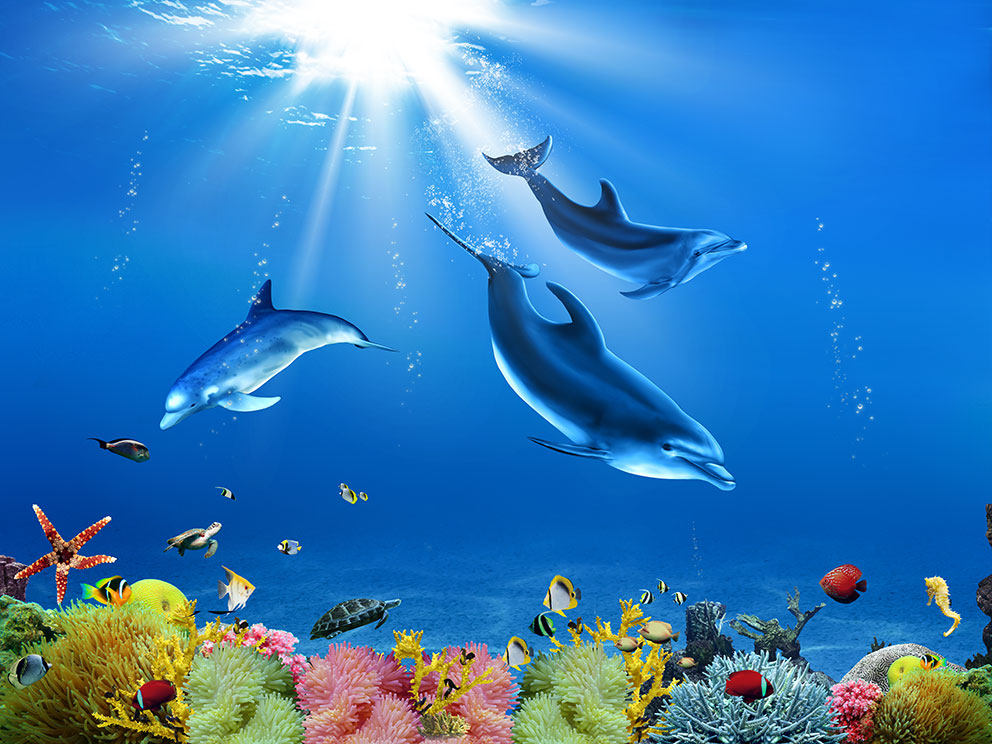 海底世界现代简约