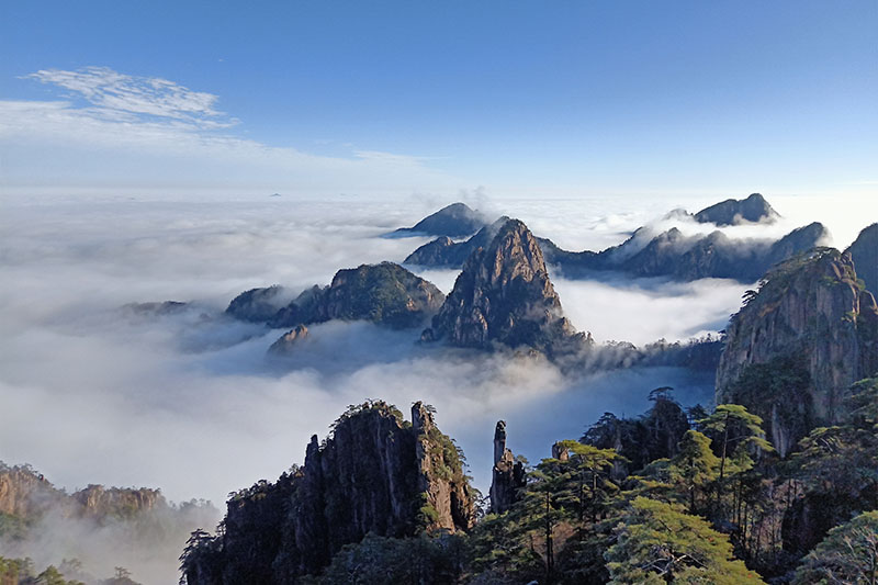 外网下载图案自然