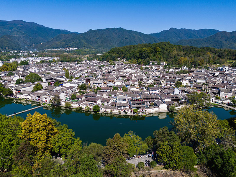 外网下载图案背景