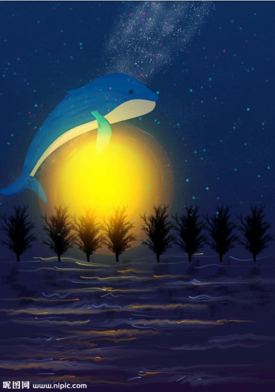 ：星空装饰 浪漫