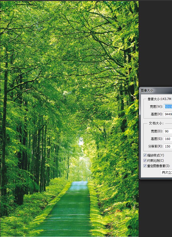 绿色竹林玄关背景