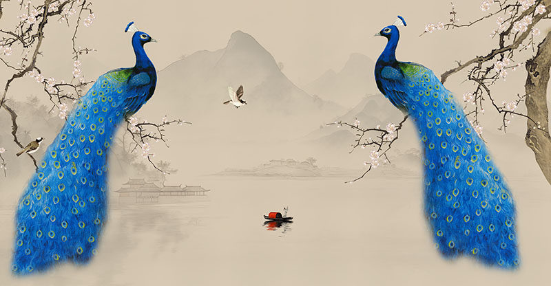 新中式背景墙孔雀