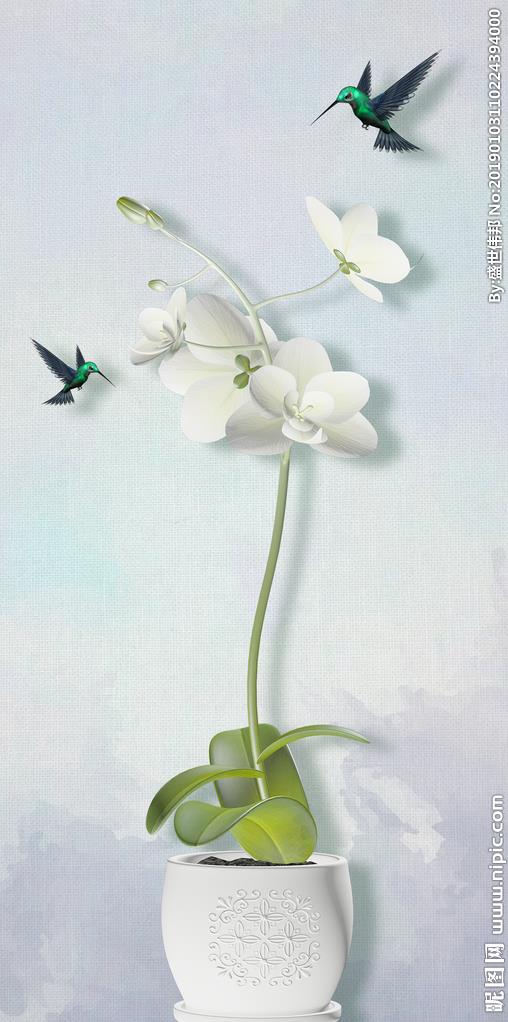 现代简约兰花家和