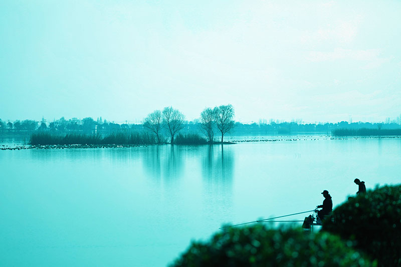 外网下载图案自然