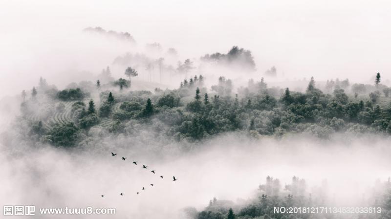 水墨山水丛林烟雨
