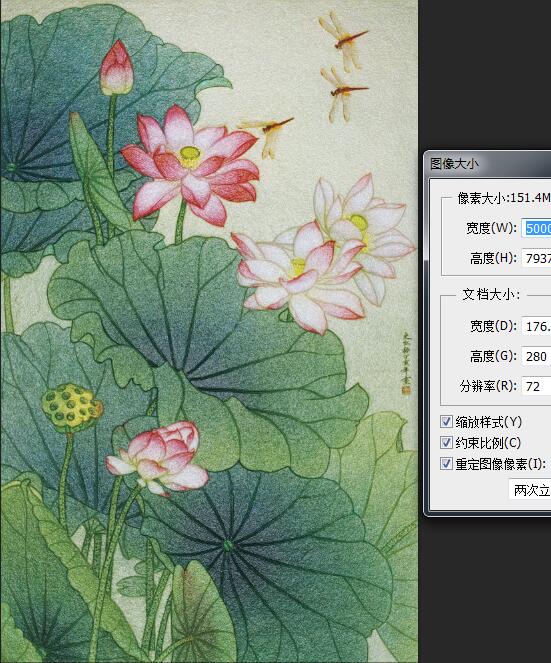 新中式清新荷花蜻