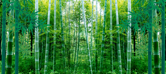 竹林背景墙竹林背