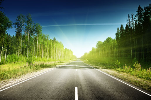 树木公路道路景色