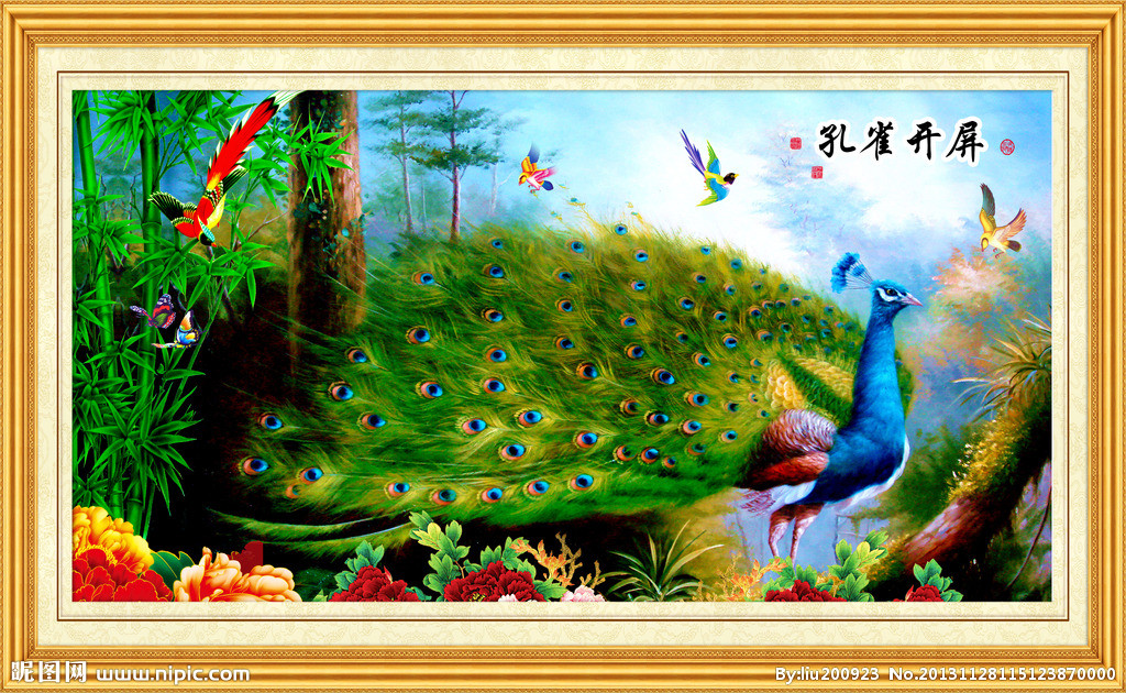 G牡丹孔雀 花开