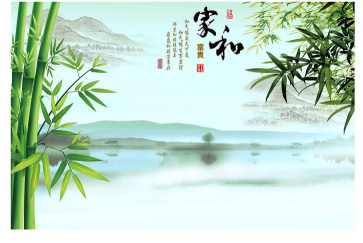 山水家和富贵竹背