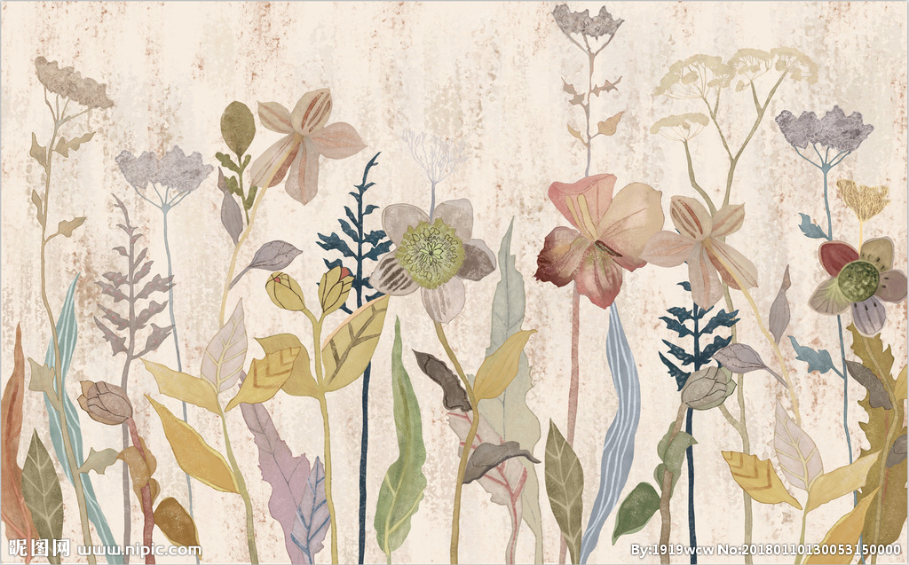北欧花卉插画图片
