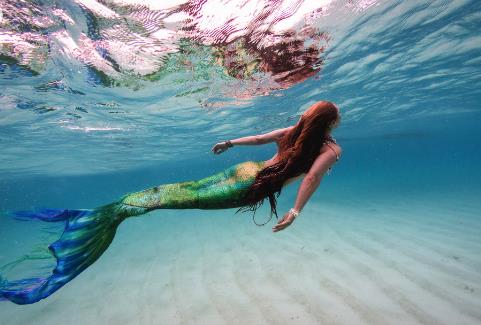 欧式美人鱼图片欧